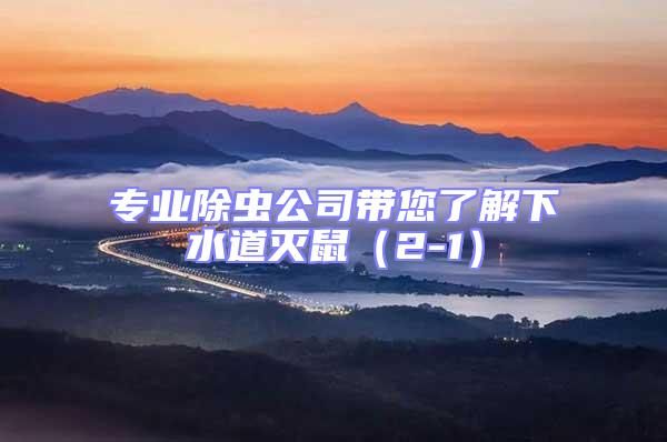 專業(yè)除蟲(chóng)公司帶您了解下水道滅鼠(2-1)