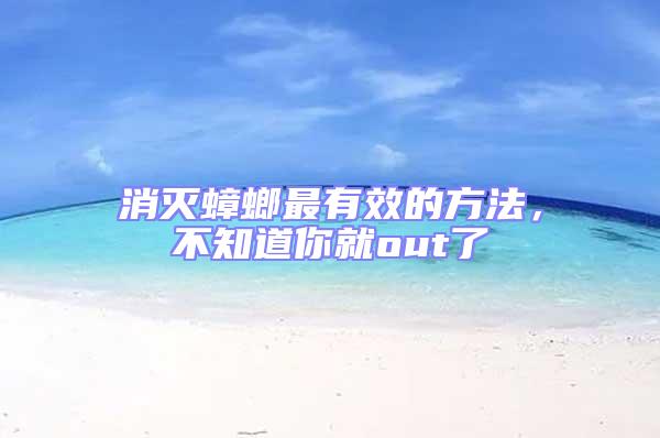 消滅蟑螂最有效的方法，不知道你就out了