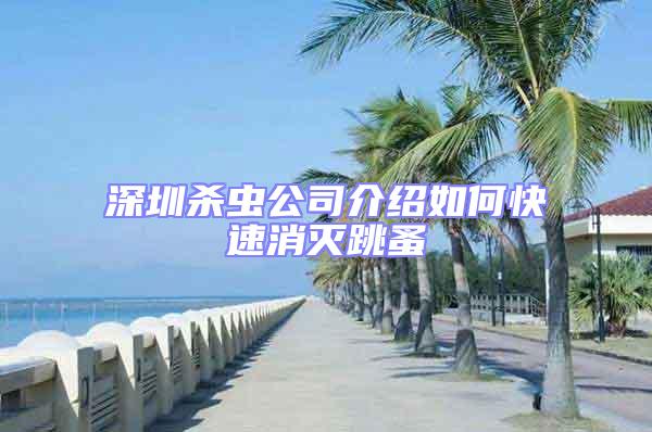 深圳殺蟲公司介紹如何快速消滅跳蚤