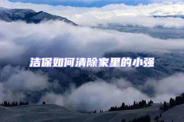 潔保如何清除家里的小強