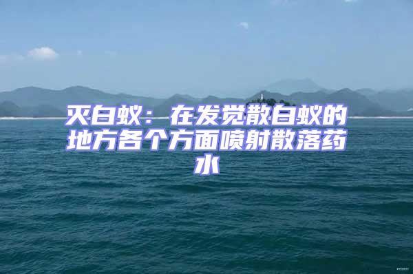 滅白蟻：在發覺散白蟻的地方各個方面噴射散落藥水