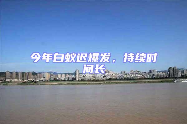 今年白蟻遲爆發,持續時間長