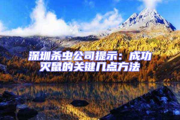 深圳殺蟲公司提示:成功滅鼠的關鍵幾點方法