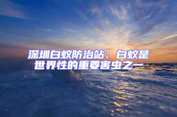 深圳白蟻防治站:白蟻是世界性的重要害蟲之一