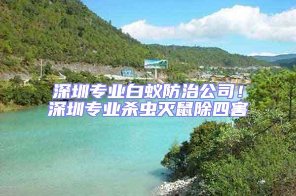 深圳專業(yè)白蟻防治公司！深圳專業(yè)殺蟲滅鼠除四害