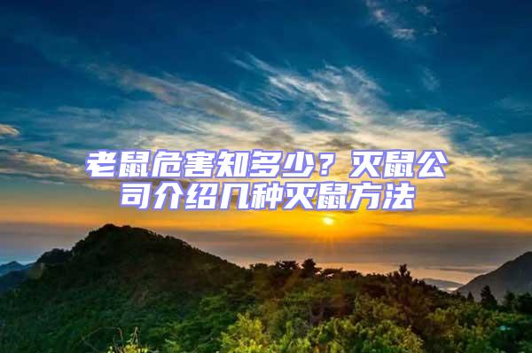 老鼠危害知多少？滅鼠公司介紹幾種滅鼠方法