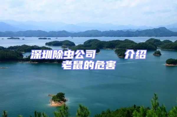 深圳除蟲公司 介紹老鼠的危害