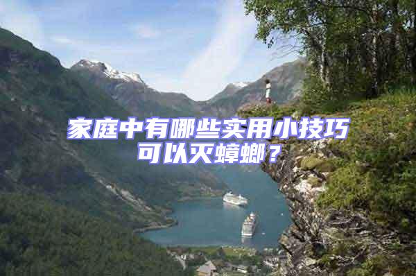 家庭中有哪些實用小技巧可以滅蟑螂？