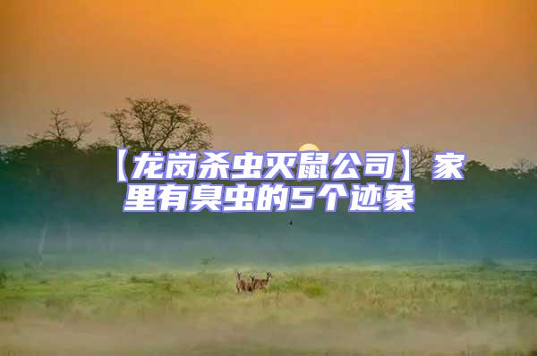 【龍崗殺蟲(chóng)滅鼠公司】家里有臭蟲(chóng)的5個(gè)跡象