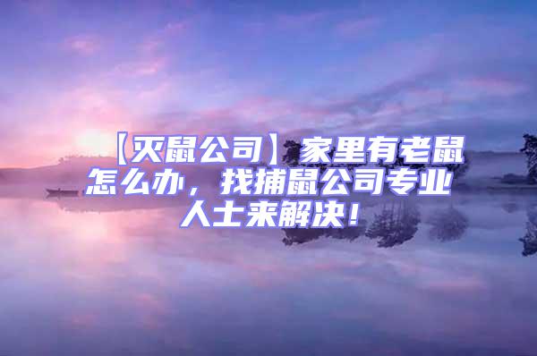 【滅鼠公司】家里有老鼠怎么辦，找捕鼠公司專業人士來解決！