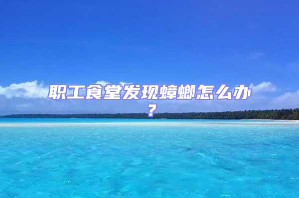 職工食堂發現蟑螂怎么辦?
