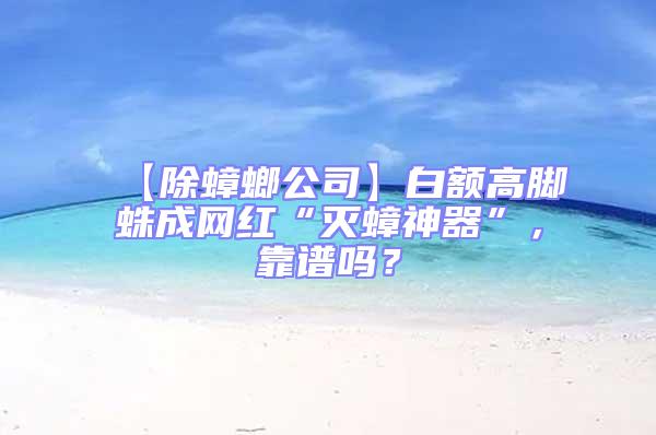 【除蟑螂公司】白額高腳蛛成網紅“滅蟑神器”，靠譜嗎？