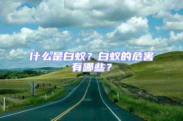 什么是白蟻？白蟻的危害有哪些？