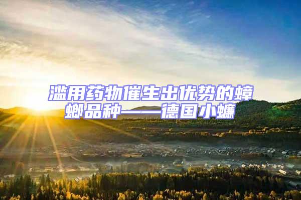 濫用藥物催生出優勢的蟑螂品種——德國小蠊