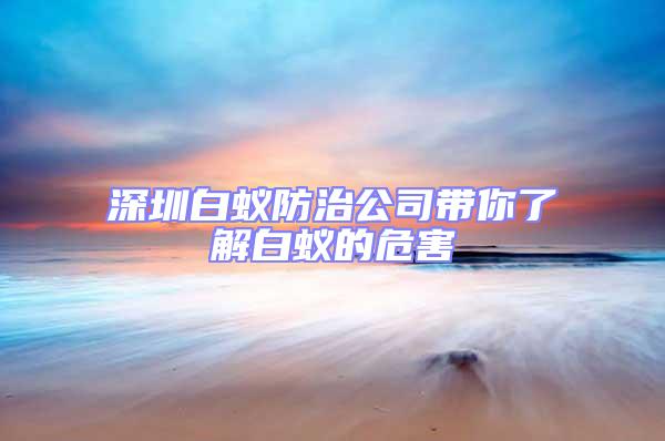 深圳白蟻防治公司帶你了解白蟻的危害