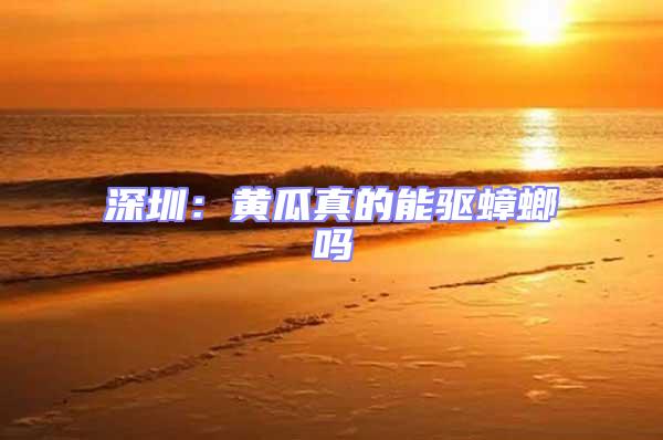 深圳:黃瓜真的能驅蟑螂嗎