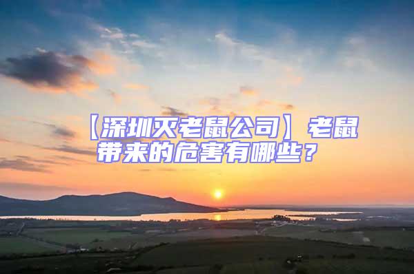 【深圳滅老鼠公司】老鼠帶來的危害有哪些？