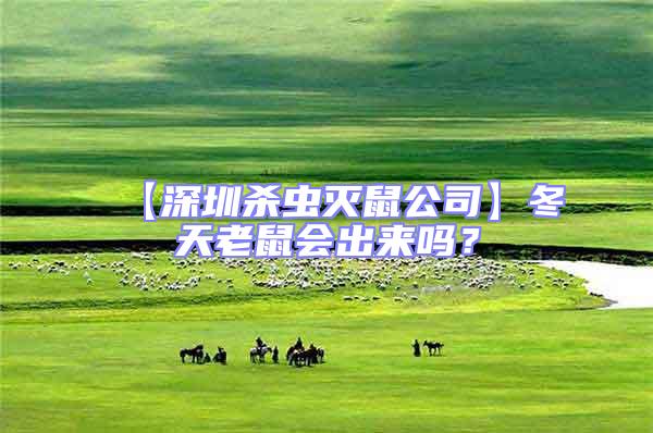 【深圳殺蟲滅鼠公司】冬天老鼠會出來嗎?