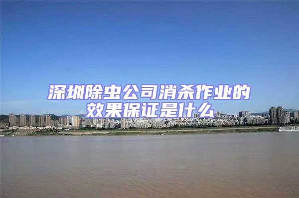 深圳除蟲公司消殺作業的效果保證是什么