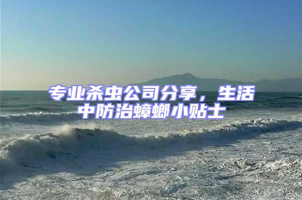 專業殺蟲公司分享，生活中防治蟑螂小貼士