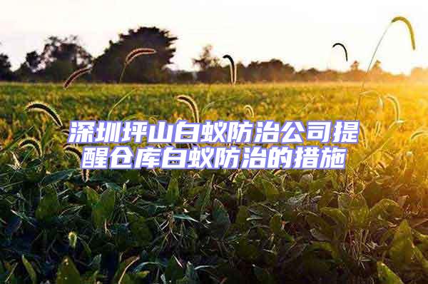 深圳坪山白蟻防治公司提醒倉(cāng)庫白蟻防治的措施