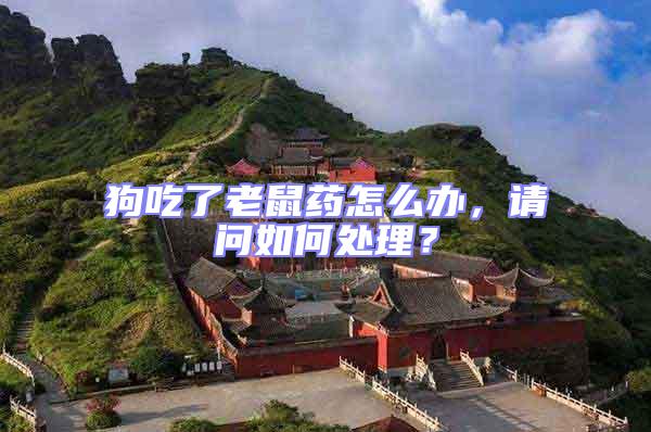 狗吃了老鼠藥怎么辦,請問如何處理?