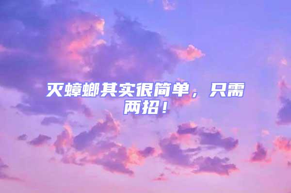 滅蟑螂其實很簡單,只需兩招!