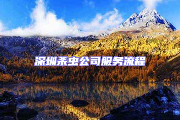 深圳殺蟲公司服務流程