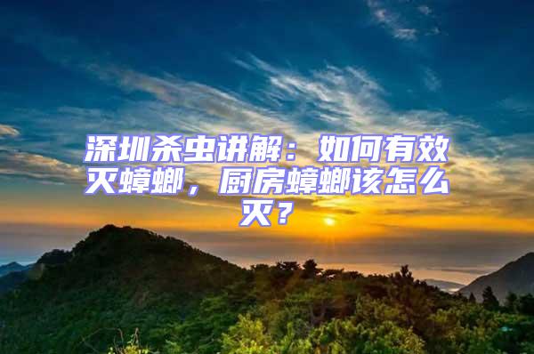 深圳殺蟲講解：如何有效滅蟑螂，廚房蟑螂該怎么滅？