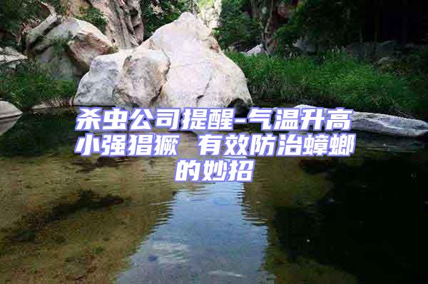 殺蟲公司提醒-氣溫升高小強猖獗 有效防治蟑螂的妙招