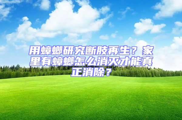 用蟑螂研究斷肢再生？家里有蟑螂怎么消滅才能真正消除？