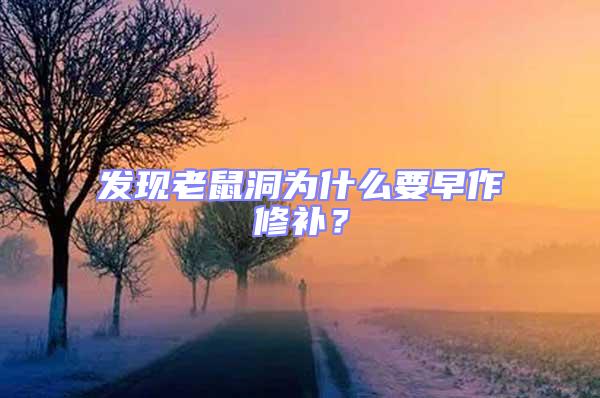 發(fā)現(xiàn)老鼠洞為什么要早作修補(bǔ)？