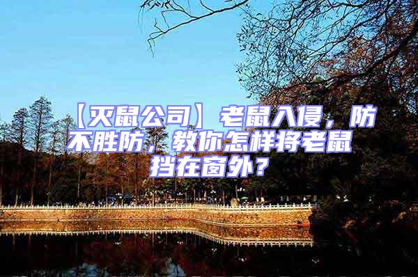 【滅鼠公司】老鼠入侵,防不勝防,教你怎樣將老鼠擋在窗外?