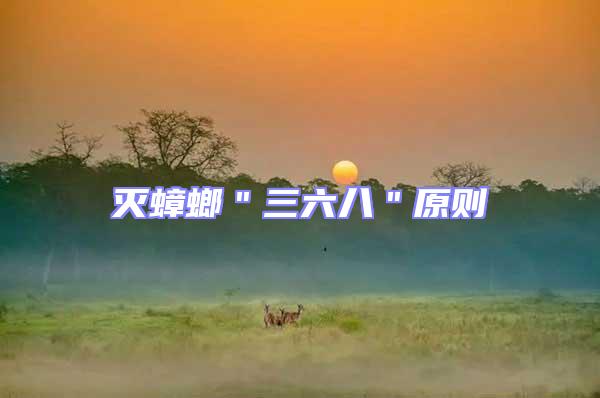 滅蟑螂"三六八"原則