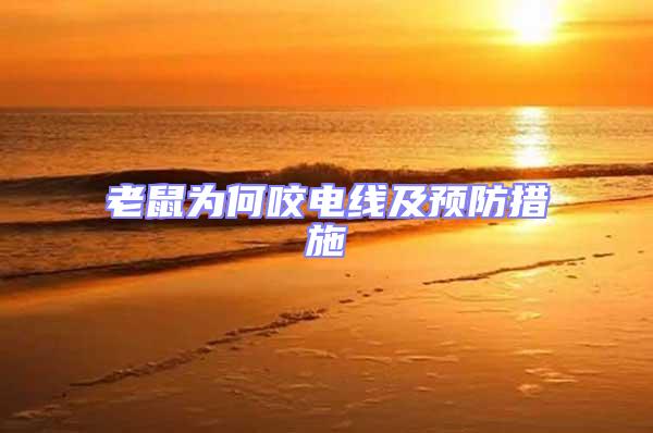 老鼠為何咬電線及預防措施