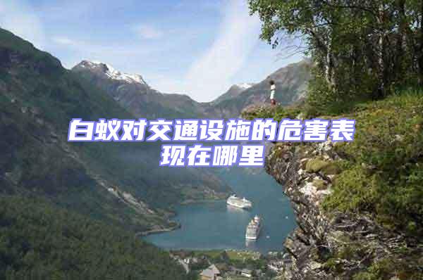 白蟻對交通設施的危害表現在哪里