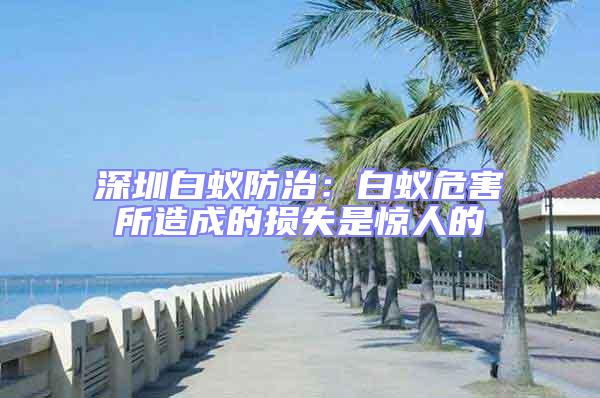 深圳白蟻防治：白蟻危害所造成的損失是驚人的