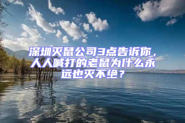 深圳滅鼠公司3點告訴你，人人喊打的老鼠為什么永遠也滅不絕？