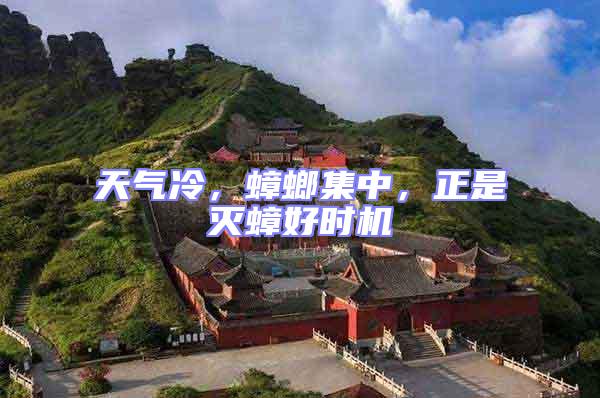 天氣冷，蟑螂集中，正是滅蟑好時機