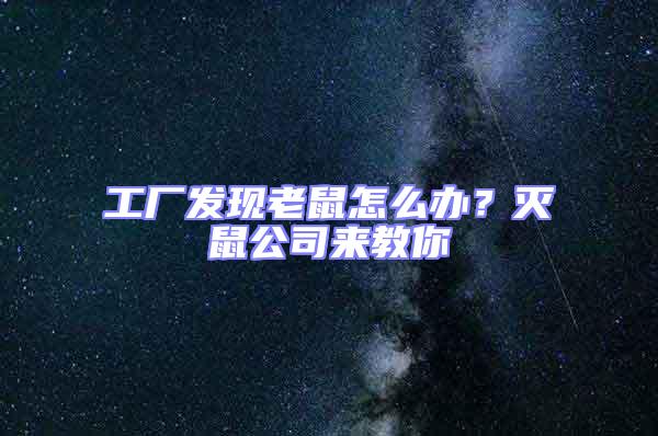 工廠發現老鼠怎么辦?滅鼠公司來教你