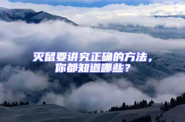 滅鼠要講究正確的方法，你都知道哪些？