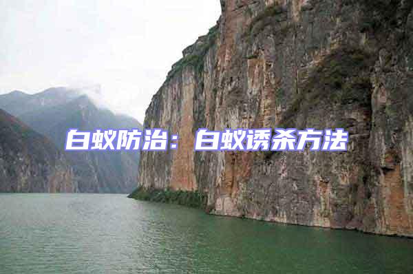 白蟻防治：白蟻誘殺方法