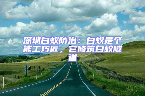 深圳白蟻防治：白蟻是個能工巧匠，它修筑白蟻隧道