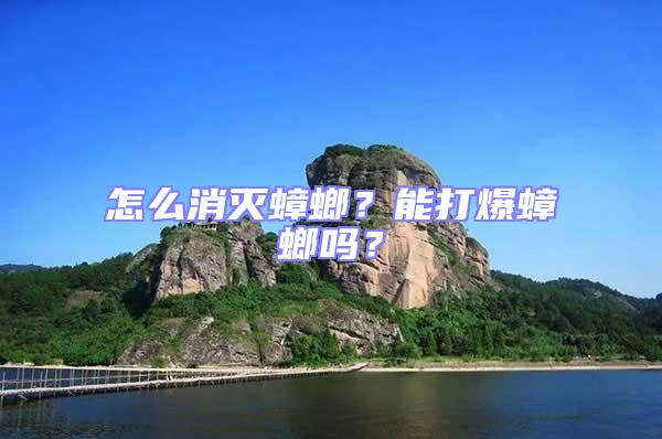 怎么消滅蟑螂？能打爆蟑螂嗎？