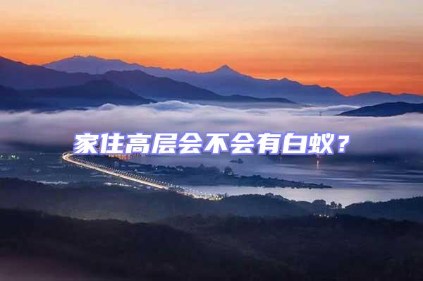 家住高層會不會有白蟻？