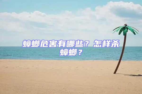 蟑螂危害有哪些?怎樣殺蟑螂?