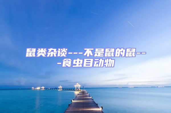 鼠類雜談---不是鼠的鼠---食蟲目動物