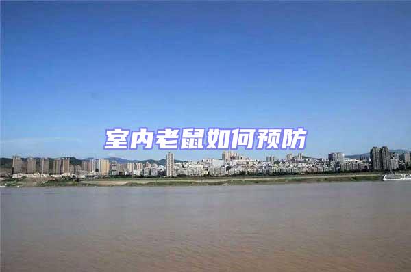 室內老鼠如何預防