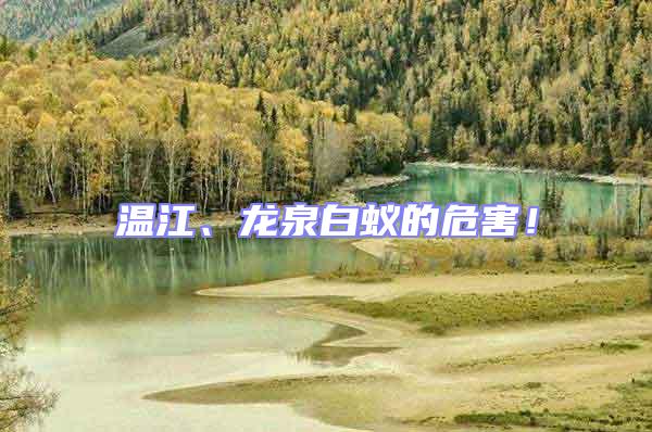 溫江、龍泉白蟻的危害！