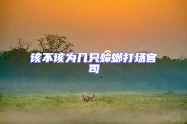 該不該為幾只蟑螂打場(chǎng)官司